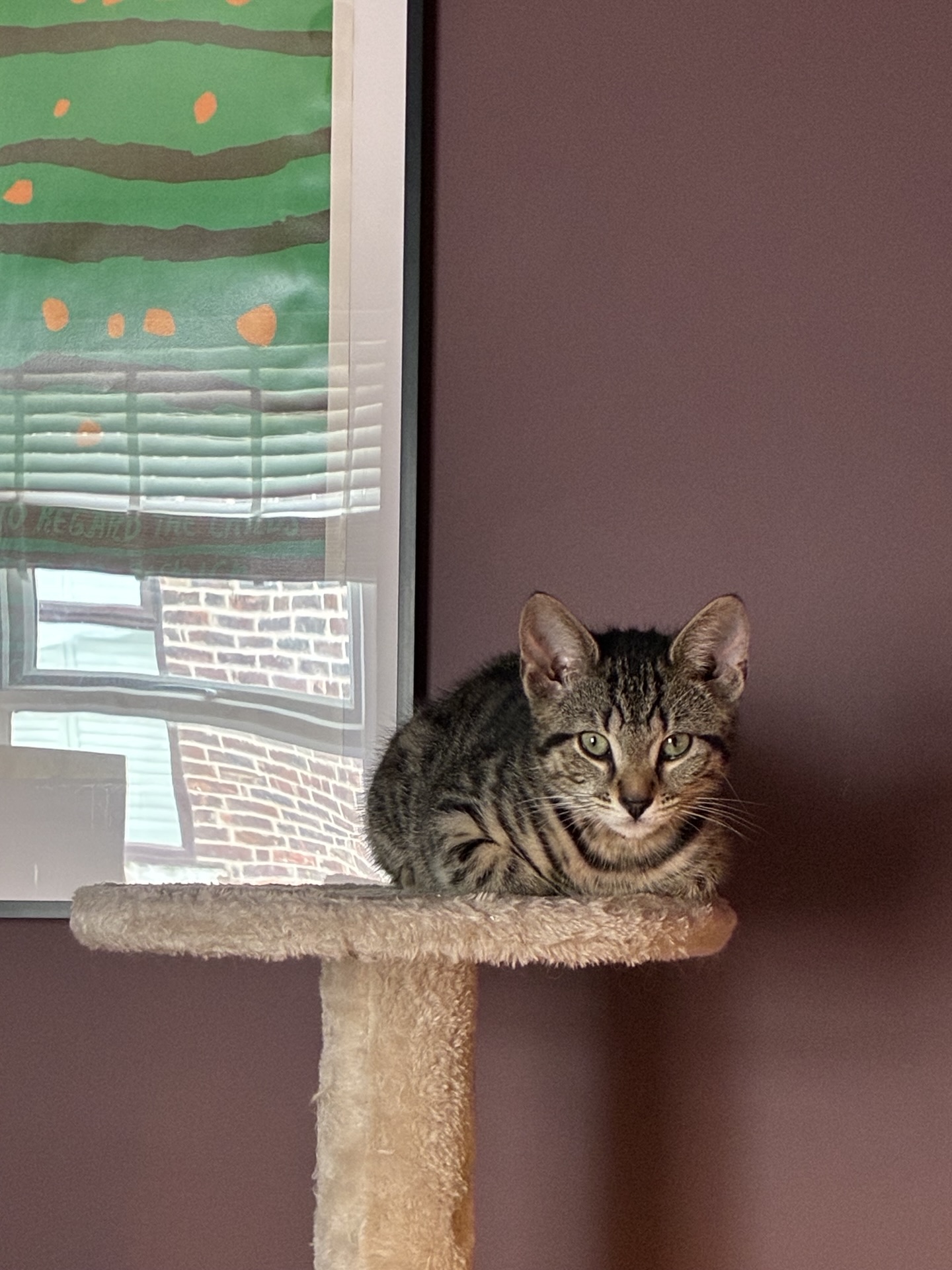 Sat atop his throne